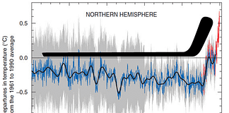 Artikel 2) Was bitte hat ein Hockeyschläger mit dem Klima zu tun?