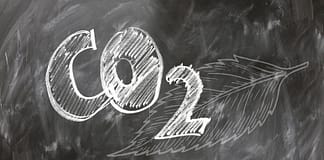 Berechnung der Kohlenstoffspeicherung