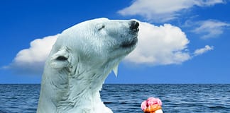 Erwärmung in den Ozeanen hat 2014 den „Point of no Return“ überschritten