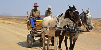 Hitzewellen und steigende Temperaturen belasten die Ärmsten am meisten