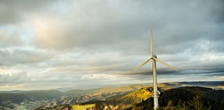 Inspiriert von Palmen entwickeln US-Wissenschaftler hurrikansichere Windturbinen Windkraft