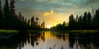 Ein Klimaphänomen widerlegt: Das Eis des Yellowstone-Sees trotzt der Erwärmung Yellowstone