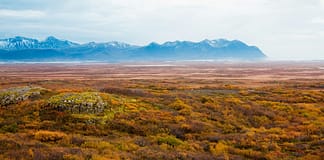 Die verborgene Gefahr: Wenn die Tundra zum Kohlenstoffemittenten wird Tundra