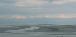 Der Hering kommt früher: Klimawandel beeinflusst die Ankunft im Wattenmeer Wattenmeer