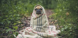 Das Paradox der extremen Kälteereignisse in einer sich erwärmenden Welt Kälte