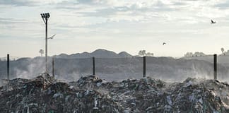 Methanemissionen drastisch unterschätzt: Eine Studie deckt Fehler der EPA auf Müllplatz