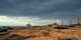 Wenn das Wasser geht – Das Kaspische Meer vor dem Kollaps Das-Kaspische-Meer-trocknet-aus_Illustration
