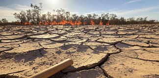 Australien im Hitzestress: Wenn die Hitze zum Fall für den Richter wird Hitze-Australien_Feuer_Illustration