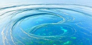 Ozeanwirbel: Die unsichtbaren Versorger der Meere Nahrungsquelle_Ozeanwirbel_Illustration