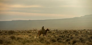 Wenn der Frühling zur Glut wird – Die März-Hitzewelle 2025 in Zentralasien Kasachstan_Hitze