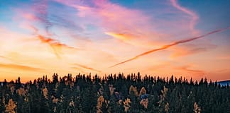 Sibirien aus der Luft: Wie ein Forscherteam mit KI unsere Klimamodelle auf ein neues Level hebt Sibirien