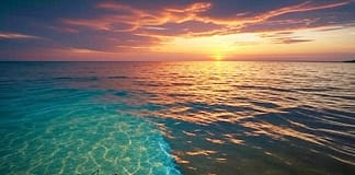 Wenn das Meer sein Licht verliert – Die stille Warnung der Ozeane Ozean_Phytoplankton_Verdunkelung_Illustration