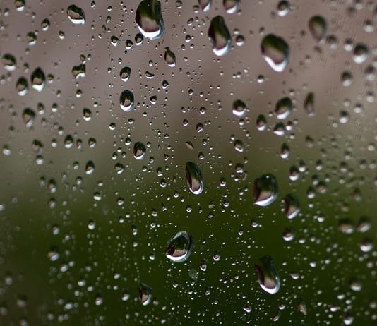 Wissenschaftler zeigen, dass die Kontrolle der Luftfeuchtigkeit große Auswirkungen auf die Treibhausgasemissionen hat