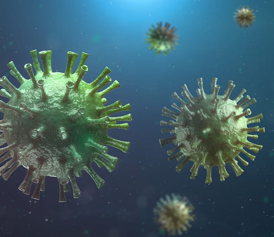 Wie „virale dunkle Materie“ zur Eindämmung des Klimawandels beitragen kann RNA-Virus