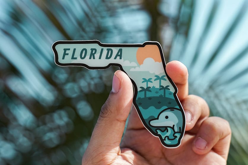Floridas Wildtierkorridor als Bollwerk gegen Klimawandel